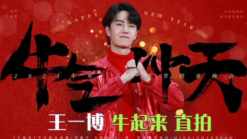 關(guān)于中王王中王一肖中特的SEO文章，中王王中王一肖中特的SEO優(yōu)化策略解析