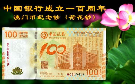新澳門掛牌正版掛牌完整掛牌，探索與解析，澳門正版掛牌詳解，探索完整流程與解析