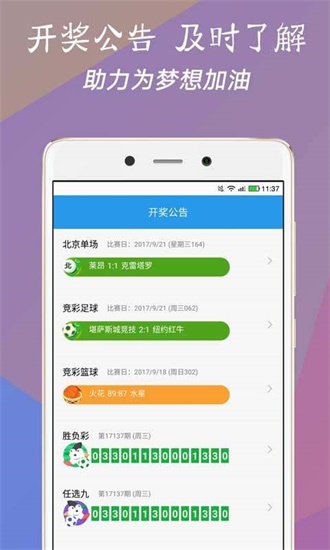 澳門今一必中一肖一碼一肖，揭秘彩票背后的秘密與策略，揭秘彩票背后的秘密與策略，澳門今一必中一肖一碼一肖探秘