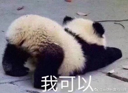 澳門(mén)精準(zhǔn)四不像最新正版，揭秘與探索，澳門(mén)精準(zhǔn)四不像揭秘與探索最新正版資訊