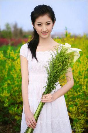 新澳門生肖走勢(shì)圖精準(zhǔn)版，解讀與SEO策略，新澳門生肖走勢(shì)圖精準(zhǔn)解讀與SEO策略揭秘