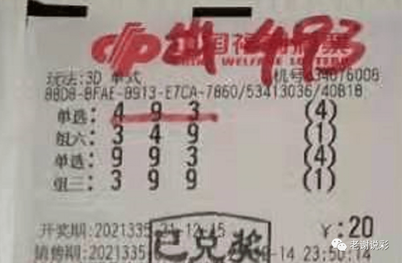 新奧門彩天天開(kāi)獎(jiǎng)資料一網(wǎng)羅萬(wàn)象，揭秘彩票奧秘，揭秘彩票奧秘，新奧門彩天天開(kāi)獎(jiǎng)資料一網(wǎng)羅萬(wàn)象
