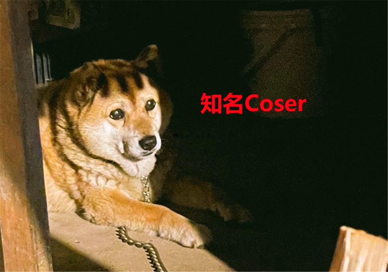 豬狗同行王中王，猜一肖，深度解析與SEO優(yōu)化，豬狗同行王中王猜謎解析與SEO優(yōu)化技巧，深度解析揭秘生肖之謎