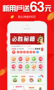 王中王欲錢請猜一肖，揭秘生肖之謎與SEO策略，揭秘生肖之謎與SEO策略，王中王欲錢請猜一肖的奧秘