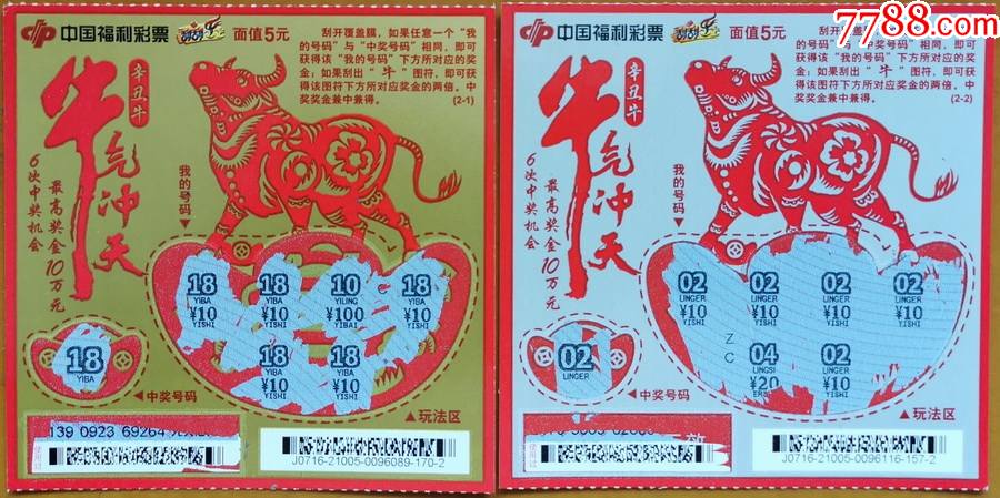 王中王19期指一生肖——探尋背后的奧秘與意義，王中王19期指一生肖，背后的奧秘與意義探尋