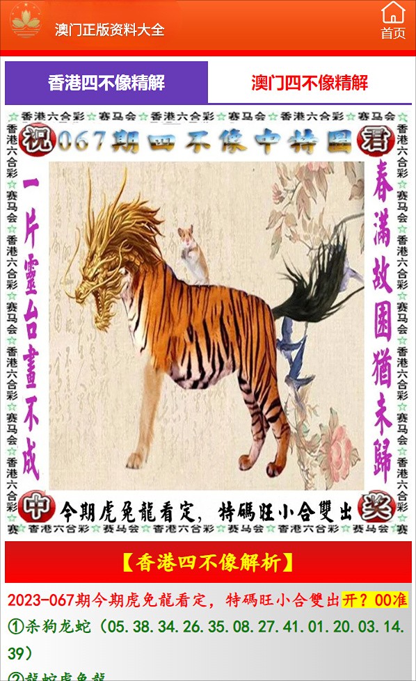 澳門必開一肖中特，揭秘生肖彩票的魅力與策略，揭秘澳門生肖彩票的魅力，必開一肖中特與策略解析
