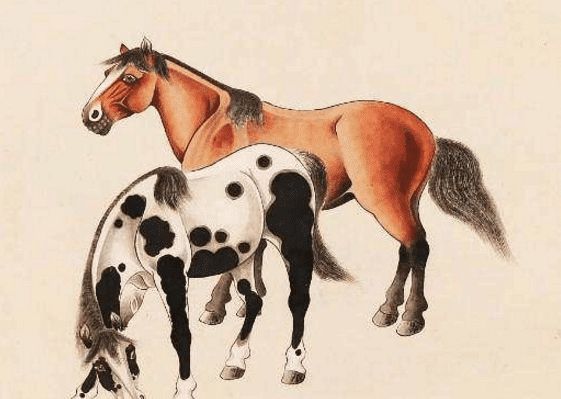 馬一王中王特平一肖圖，深度解析與SEO優(yōu)化策略，深度解析馬一王中王特平肖圖，SEO優(yōu)化策略探討