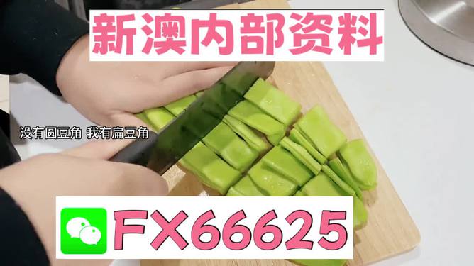 新澳精選資料免費(fèi)提供，探索優(yōu)質(zhì)資源的海洋，新澳精選資料免費(fèi)探索，優(yōu)質(zhì)資源海洋的開啟