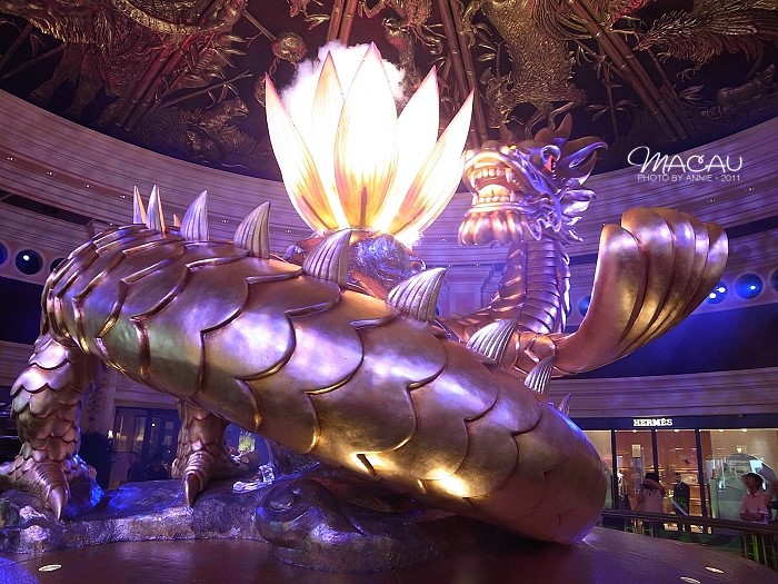 澳門無錯(cuò)七尾，探索與解析，澳門無錯(cuò)七尾，深度探索與解析