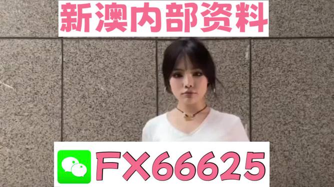 澳門正版資料大全完整版，探索與揭秘2025年澳門正版資料的世界，澳門正版資料大全揭秘，探索未來(lái)至2025年的奧秘世界