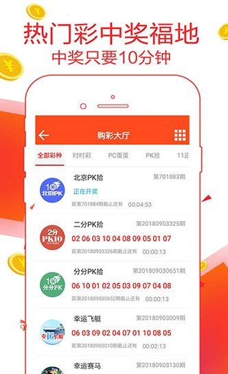 王中王一肖碼數(shù)口，深度解析與SEO優(yōu)化策略，王中王一肖碼數(shù)口深度解析與SEO優(yōu)化策略探討