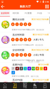 尋找王中王一肖圖——深度解析背后的故事，深度探尋王中王一肖圖的背后故事