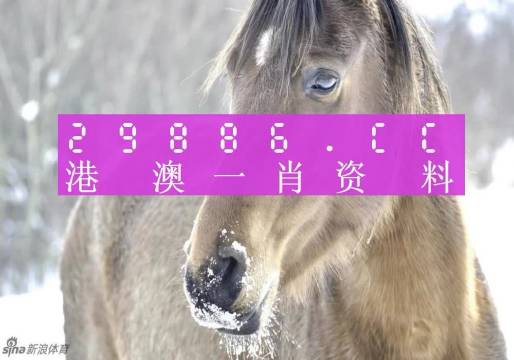 澳門一肖一碼100%準(zhǔn)確預(yù)測——揭秘彩票背后的秘密，澳門彩票預(yù)測揭秘，一肖一碼100%準(zhǔn)確預(yù)測背后的秘密