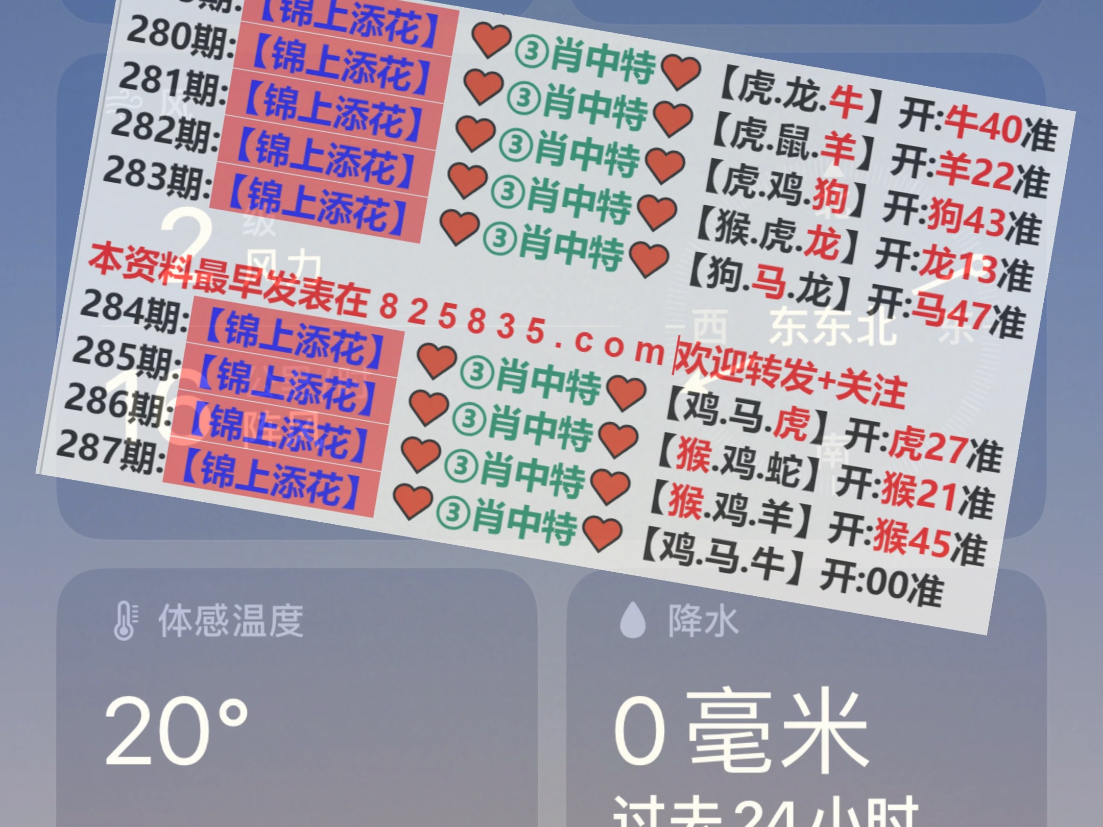 新澳2025年精準(zhǔn)一肖一碼，揭秘預(yù)測背后的秘密，揭秘新澳2025年精準(zhǔn)一肖一碼預(yù)測背后的秘密