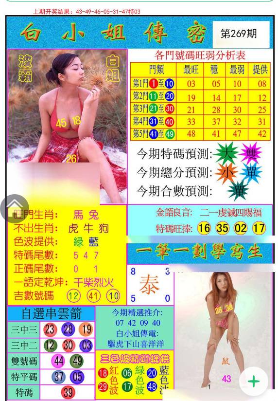 揭秘白小姐與王中王平持一肖的神秘面紗，白小姐與王中王，揭秘神秘生肖預(yù)測面紗