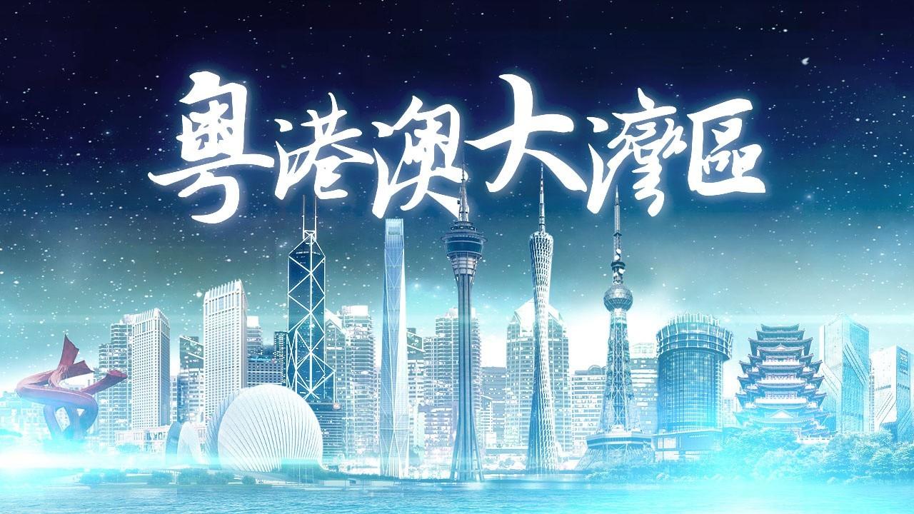 2025年香港正版免費(fèi)資料全面解析，香港正版免費(fèi)資料全面解析（2025版）