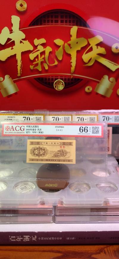 王中王廣東一肖，探尋背后的故事與奧秘，王中王廣東一肖，背后的故事與奧秘探尋