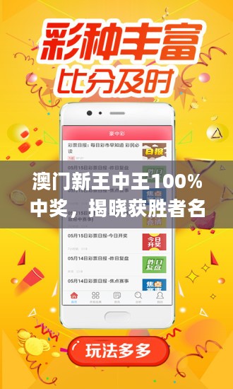王中王藏寶閣猜一肖，揭秘背后的秘密與SEO策略，王中王藏寶閣猜一肖背后的秘密與SEO策略揭秘