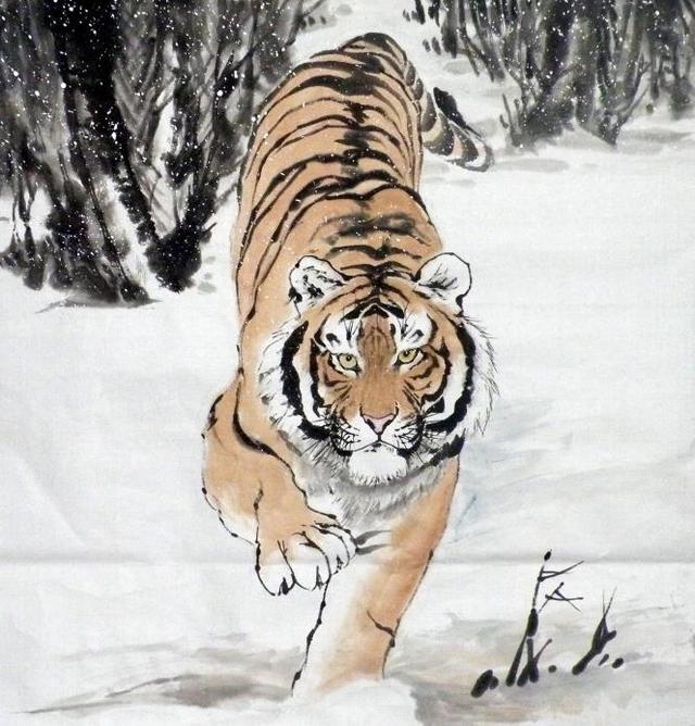 猛虎下山王中王，揭秘一生肖的神秘魅力，揭秘生肖之王——猛虎下山之神秘魅力