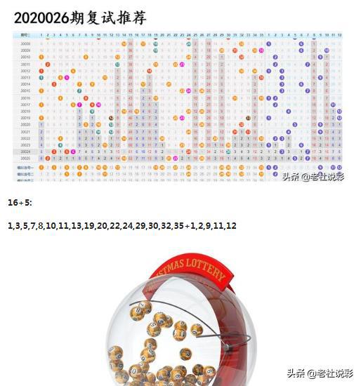 王中王026期指一生肖，深度解讀與SEO優(yōu)化策略，王中王026期生肖深度解讀與SEO優(yōu)化策略全解析