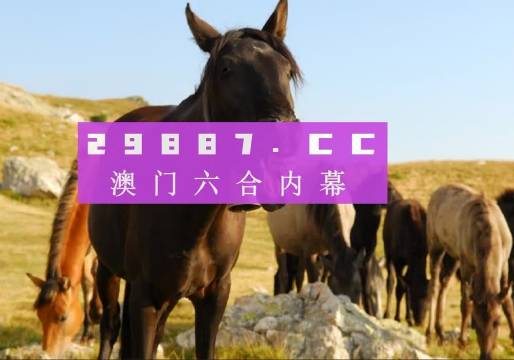 澳門管家婆一肖一碼精準預測——揭秘精準度背后的秘密，澳門管家婆一肖一碼精準預測揭秘，預測背后的秘密與準確度探討