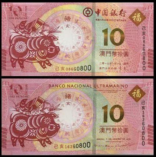 澳門天天彩期期精準(zhǔn)十二生肖預(yù)測(cè)——揭秘彩票背后的秘密，澳門天天彩期期精準(zhǔn)十二生肖預(yù)測(cè)，彩票背后的秘密大揭秘