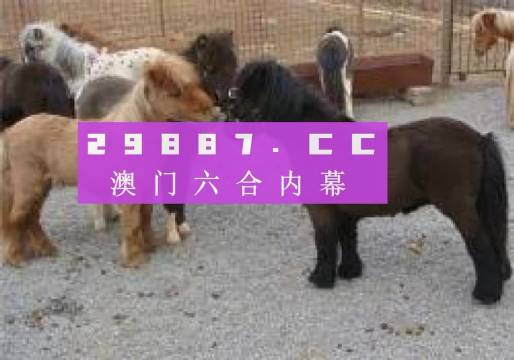 王中王平特一肖四不像圖，深度解析與SEO優(yōu)化策略，王中王平特一肖四不像圖，深度解析與SEO優(yōu)化策略探討