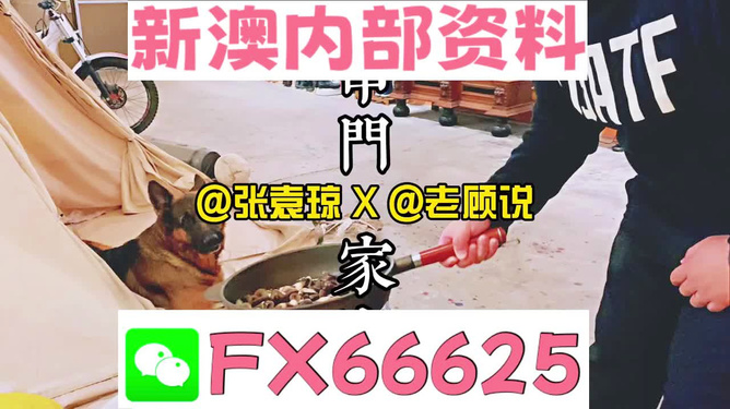 新澳門(mén)精準(zhǔn)資料大全，管家婆料解析與探索，澳門(mén)精準(zhǔn)資料大全，管家婆料解析與深度探索