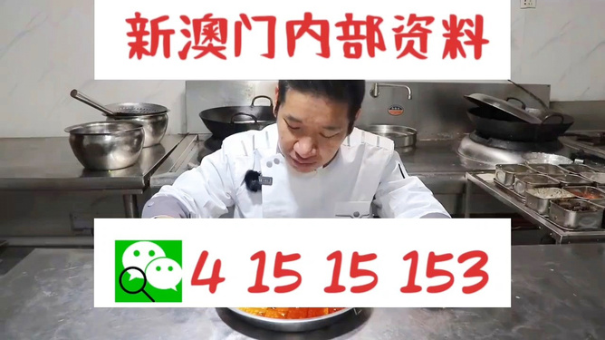 管家婆一肖資料大全，深度解析與探索，管家婆一肖資料深度解析與探索大全