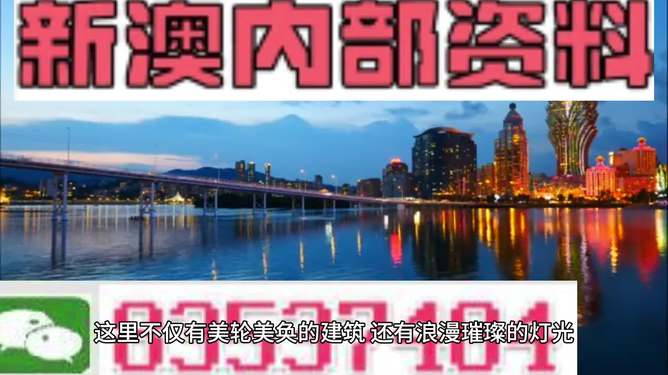 新澳新澳門正版資料，探索與解析，新澳新澳門正版資料深度解析與探索