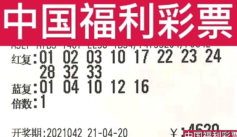 新奧門(mén)今晚開(kāi)獎(jiǎng)結(jié)果查詢(xún)第243期，全面解析與預(yù)測(cè)，新奧門(mén)第243期開(kāi)獎(jiǎng)結(jié)果解析與預(yù)測(cè)，今晚開(kāi)獎(jiǎng)揭秘