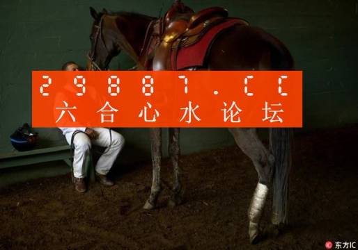 一肖一馬王中王一馬中特，深度解析與SEO優(yōu)化策略，一肖一馬王中王深度解析與SEO優(yōu)化策略探討