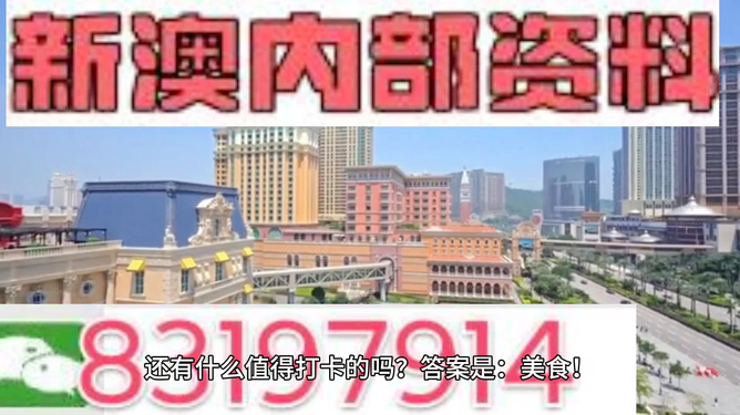 澳門免費(fèi)精準(zhǔn)資料，探索204年的秘密與機(jī)遇，澳門204年秘密與機(jī)遇探索，免費(fèi)精準(zhǔn)資料揭秘