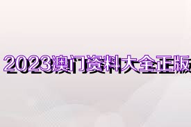 澳門資料大全正版資料免費，探索未來的澳門與2025展望，澳門未來展望，資料大全正版免費探索與2025展望