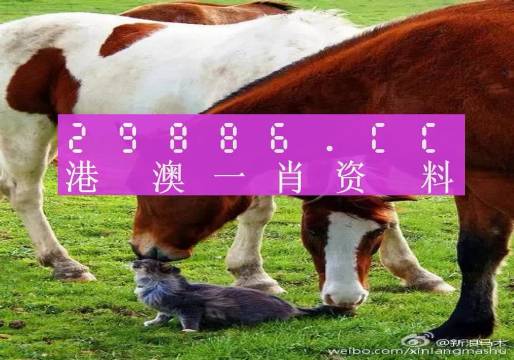 新奧門一肖一碼，揭秘精準(zhǔn)預(yù)測的秘密，揭秘新澳門一肖一碼精準(zhǔn)預(yù)測的秘密
