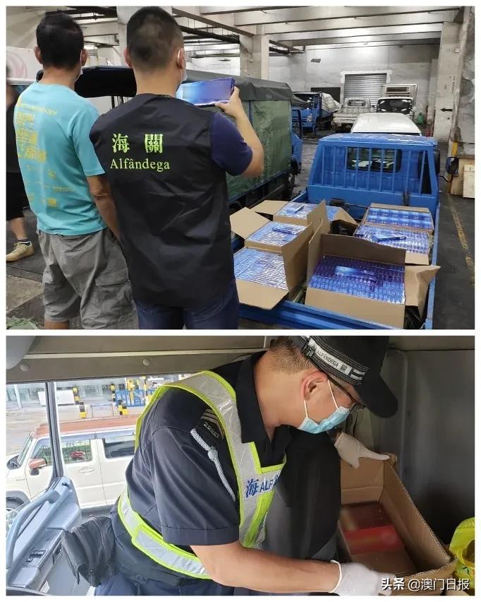 澳門今晚必開一肖080，揭秘生肖運勢與預測之謎，澳門今晚必開一肖揭秘，生肖運勢預測之謎開啟！