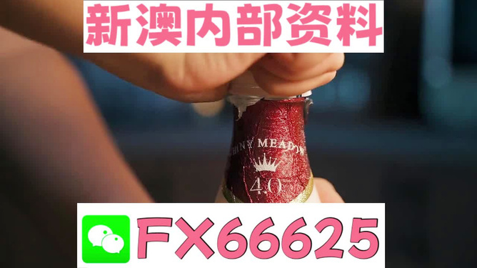 新澳門一碼一碼，揭秘精準(zhǔn)預(yù)測的秘密與真相，揭秘澳門一碼一碼精準(zhǔn)預(yù)測的秘密與真相