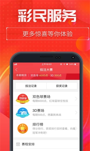 一肖二碼中特王中王——揭秘彩票背后的秘密，揭秘彩票背后的秘密，一肖二碼中特王中王的故事