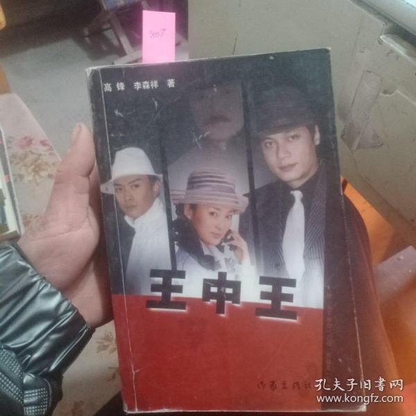 王中王資料一肖中天，深度解析與探索，王中王資料一肖中天，深度剖析與探索