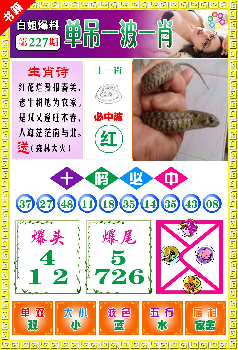 王中王免費開獎一肖結果，揭秘彩票背后的秘密，揭秘王中王彩票開獎內幕，一肖結果背后的秘密揭曉