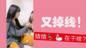 王中王欲錢詩猜一肖，王中王欲錢詩暗示的生肖之謎