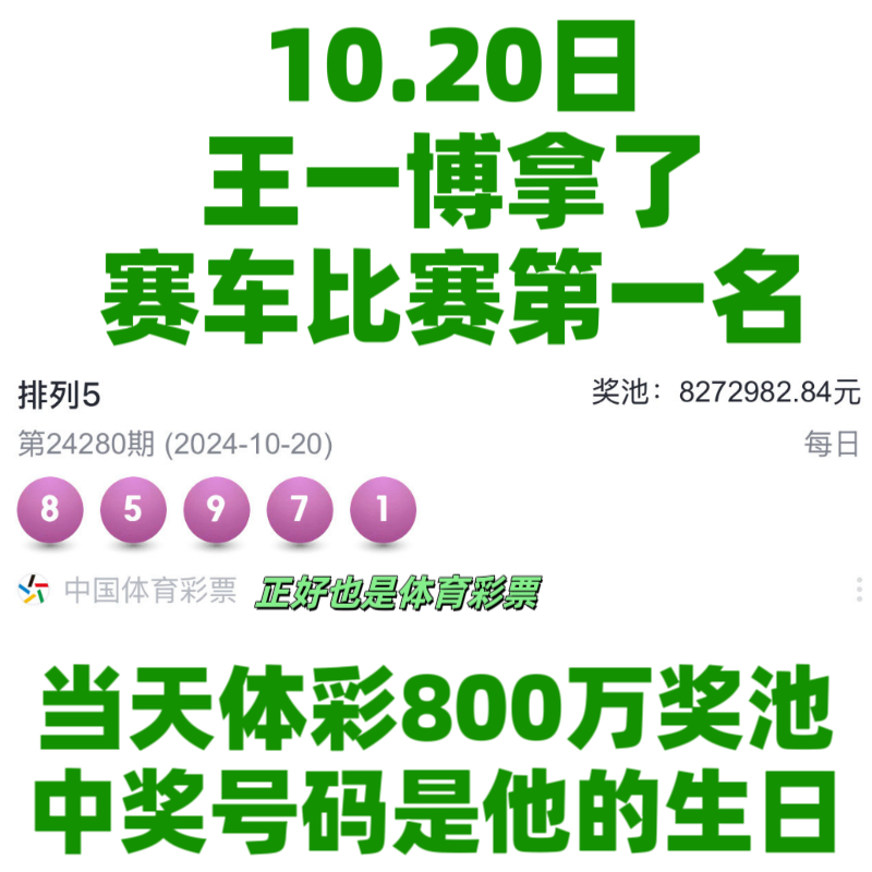 王中王一肖資料中特馬——深度解析與SEO洞察，王中王一肖特馬深度解析與SEO洞察揭秘
