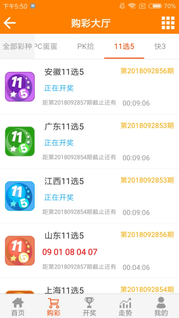王中王資料中特馬一肖的奧秘與探索，王中王資料揭秘特馬一肖的奧秘與探索之旅