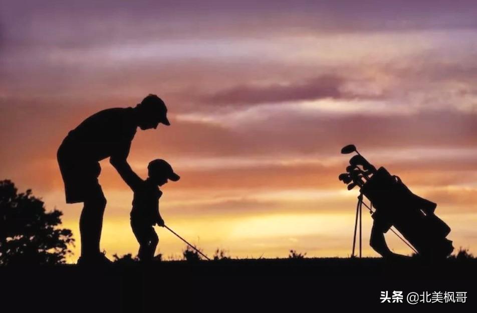 森林高手王中王與神秘生肖——深度解讀背后的故事與秘密，森林高手王中王與神秘生肖，故事背后的深度解讀與秘密探尋