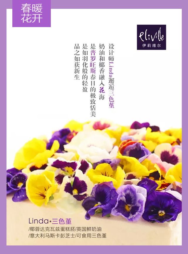 王中王339期指一生肖——探尋背后的秘密與玄機，探尋王中王339期生肖背后的秘密與玄機