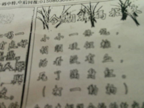 揭秘劉伯溫的一肖一特，探尋神秘傳奇背后的真相，劉伯溫傳奇揭秘，揭秘生肖之謎與獨特特質(zhì)背后的真相