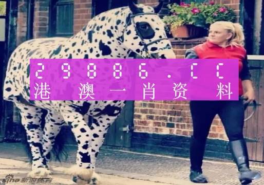 澳門王中王，揭秘一肖中特資料背后的秘密，澳門王中王揭秘，一肖中特資料背后的秘密傳奇
