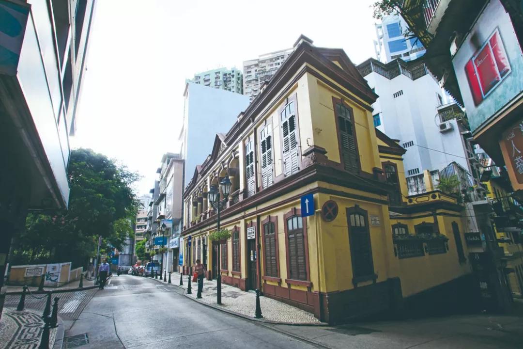 澳門(mén)今晚必開(kāi)一肖，揭秘生肖運(yùn)勢(shì)與預(yù)測(cè)邏輯，澳門(mén)今晚生肖預(yù)測(cè)揭秘，生肖運(yùn)勢(shì)與預(yù)測(cè)邏輯分析