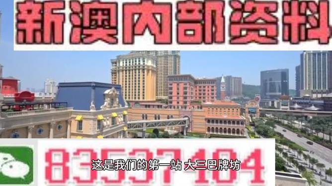 澳門正版免費全年資料大全旅游團，探索澳門之旅的完美選擇，澳門正版全年旅游資料大全，探索澳門之旅的首選旅游團