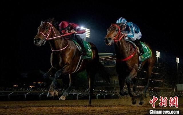 香港王中王一肖中特馬，探索背后的奧秘，香港王中王一肖中特馬背后的奧秘探索